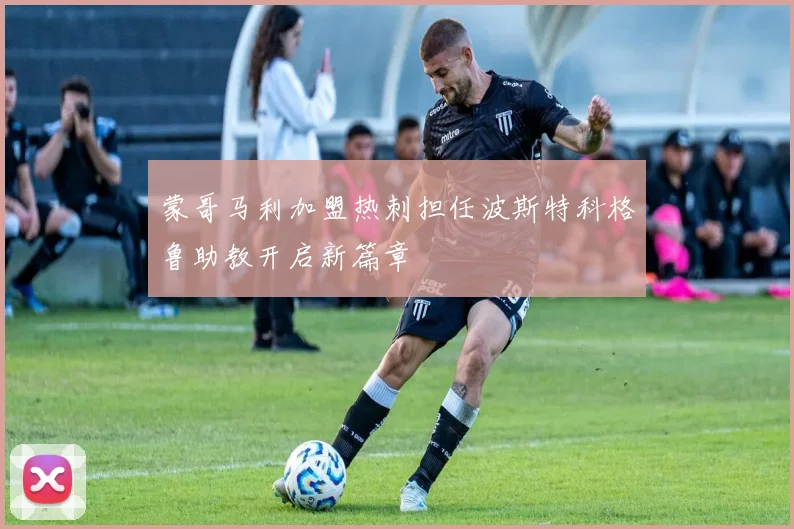 蒙哥马利加盟热刺担任波斯特科格鲁助教开启新篇章