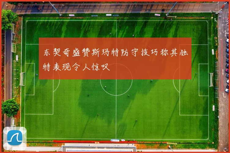 东契奇盛赞斯玛特防守技巧称其独特表现令人惊叹