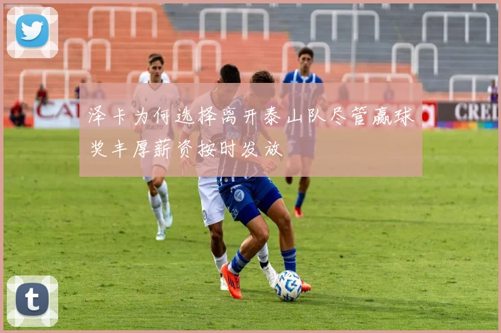 泽卡为何选择离开泰山队尽管赢球奖丰厚薪资按时发放