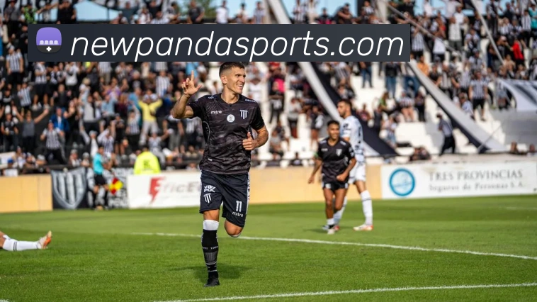 熊猫体育品牌故事